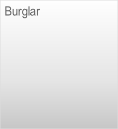 Burglar
